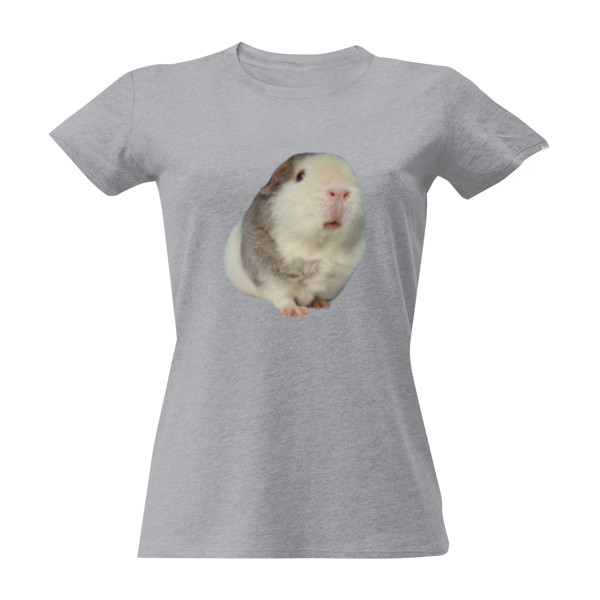 Tričko s potiskem Morče