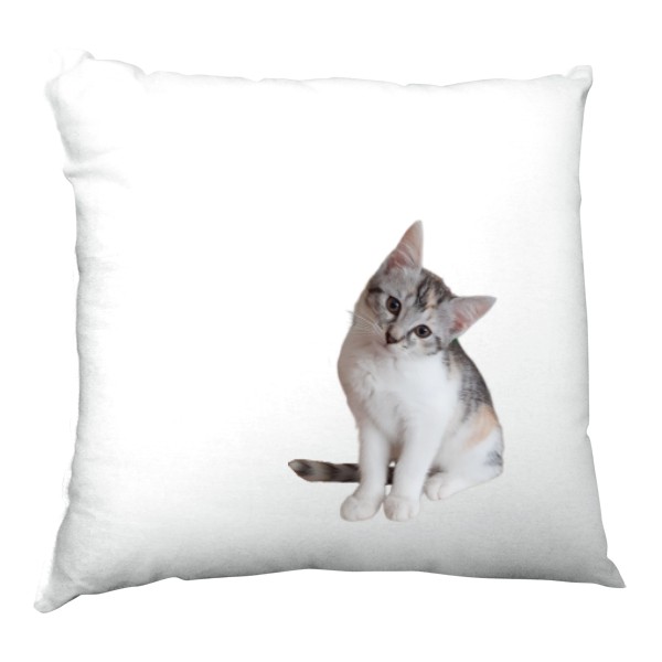 Polštář saténový s potiskem Kotě