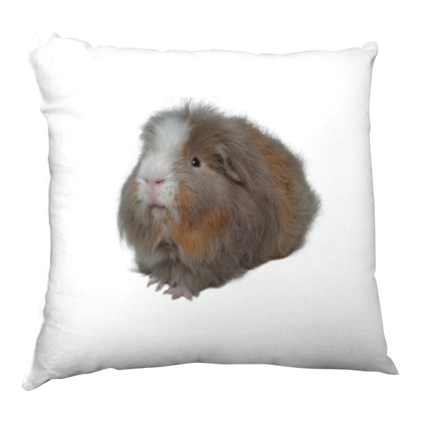 Polštář saténový s potiskem Švýcarské teddy morče