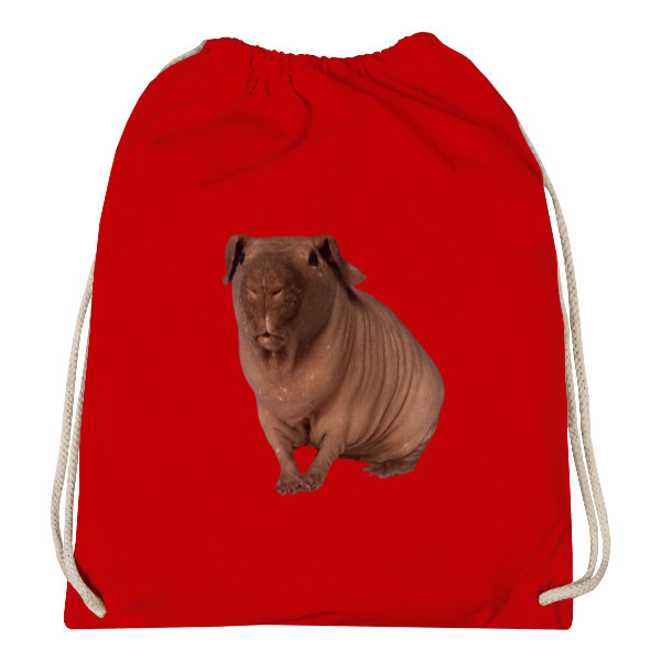 Vak na záda s potiskem Skinny morče