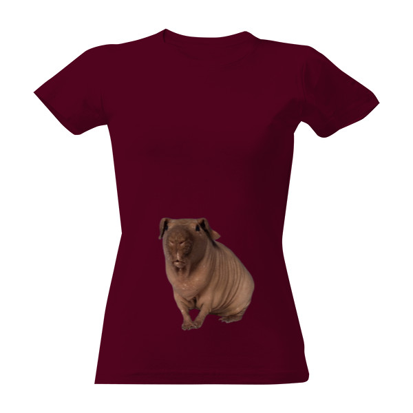 Tričko s potiskem Skinny morče