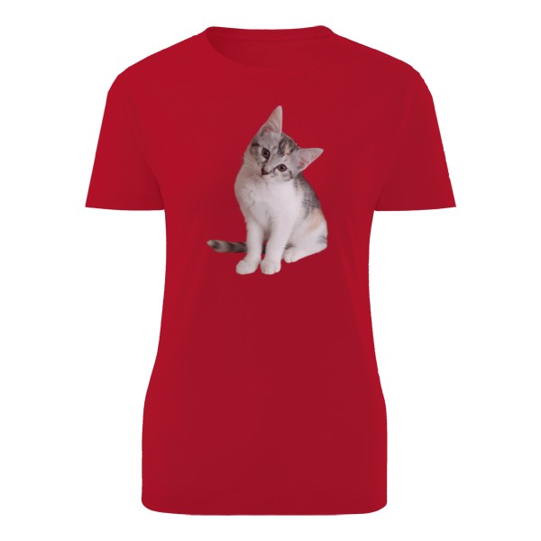 Tričko s potiskem Kotě