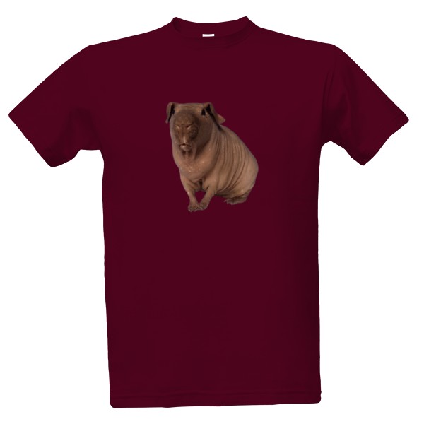 Tričko s potiskem Skinny morče